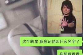 西峡要账公司更多成功案例详情